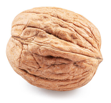 Whole walnut isolated on white background, maximum sharpness achieved by stack photography, clipping path.