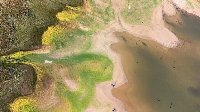 aerial view of a winding lakeshore with green vegetation and beach sand