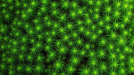 Fototapeta premium Vibrant top-down macro view of lush emerald cushion moss with a dense, organic spiky texture and vivid green tones.