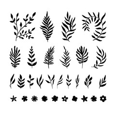 Fototapeta premium Floral Doodle Vector Set, Organic Botanical Elements, Hand Drawn Flowers and Leaves Illustration
