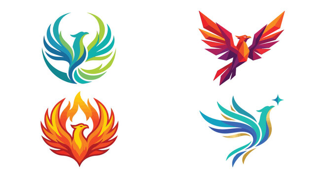 Colorful phoenix bird designs modern vector illustration
