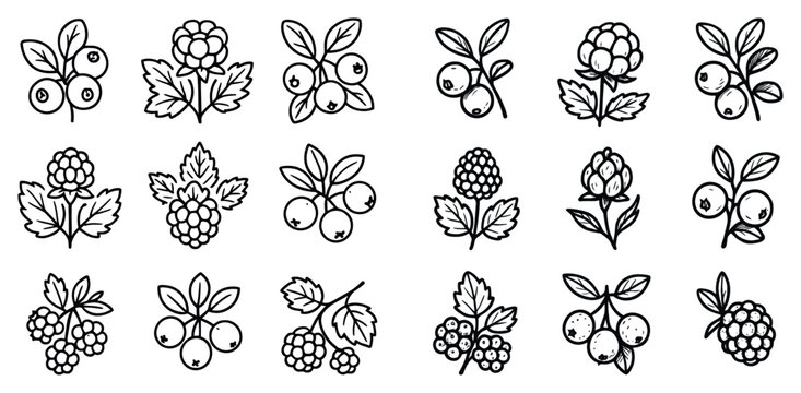 Berry icons with leaf raspberry blueberry outline minimal