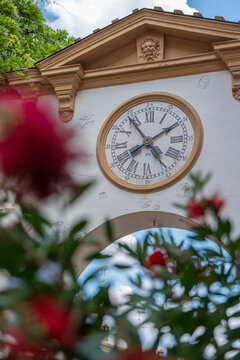 Bologna, Italy - 26 March 2022: View of the historic clock tower framed by vibrant red flowers, its hands frozen in time against the backdrop of the city's architectural heritage.