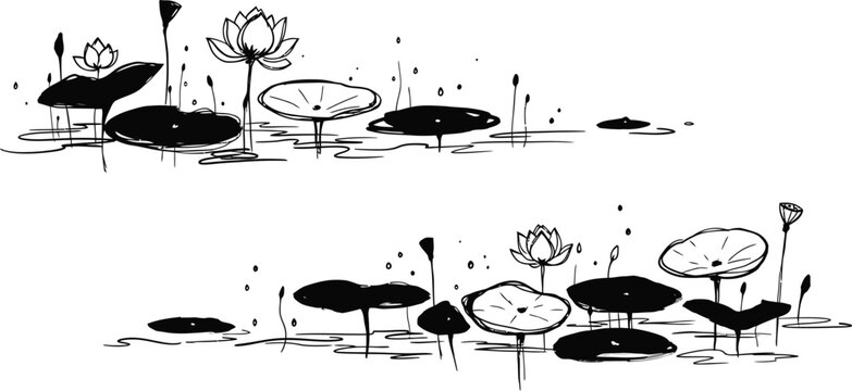 Black and white lotus flowers, lily pads, vector illustration, minimalist botanical design