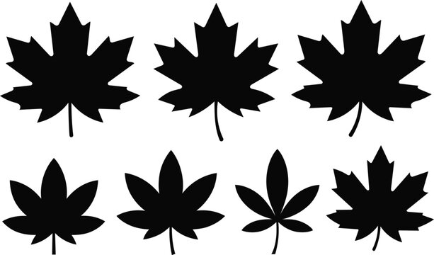 Collection of black maple leaf silhouettes isolated on a transparent background in a grid layout