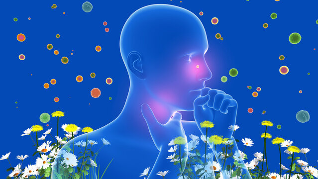 3D illustration of a human figure highlighting the upper respiratory system (ENT). Alongside flowers, plants, and pollen that cause spring allergies, nasal irritation. Transparent graphic style.