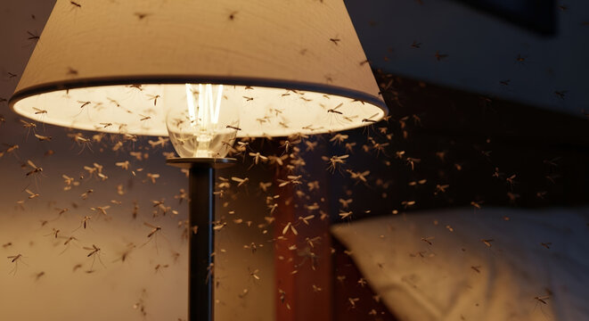 Mosquitoes buzzing around a lamp in a bedroom setting, creating an uneasy atmosphere against a dimly lit background.