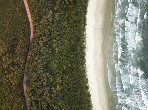 Aerial view of a winding earthy path carving through a lush emerald canopy, leading to pristine golden sands kissed by foaming cerulean waves, Diamond Head, New South Wales, Australia.