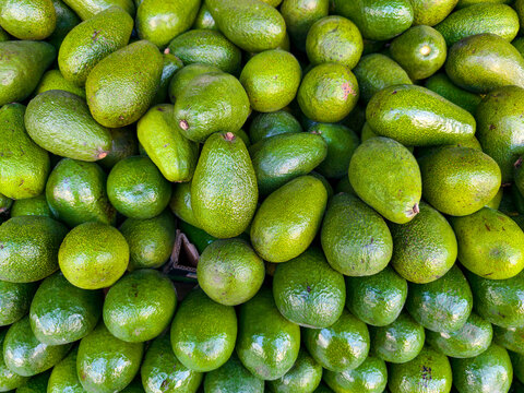 Fresh avocados stacked together at a market on a bright day in a bustling city