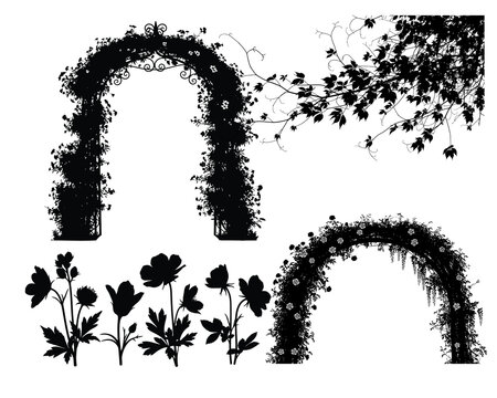 Black and white botanical arches a collection of floral and foliage designs