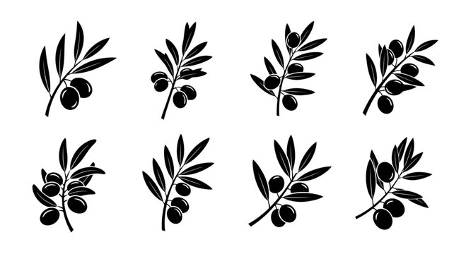 Black and white olive branch illustrations.