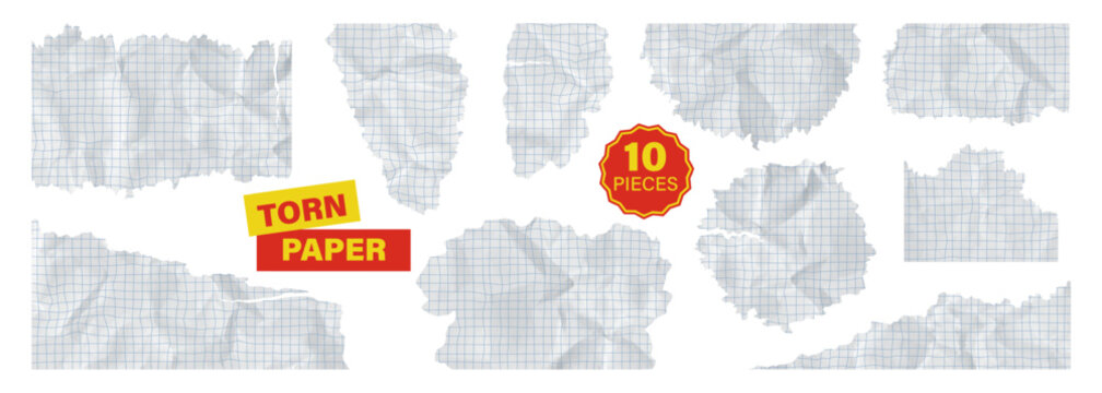 Paper square lined collection of torn ripped rip and grid notebook white sheet. Craft math cardboard with folded crumpled school note. Set bundle kit of wrinkled leaf piece graph for collage.