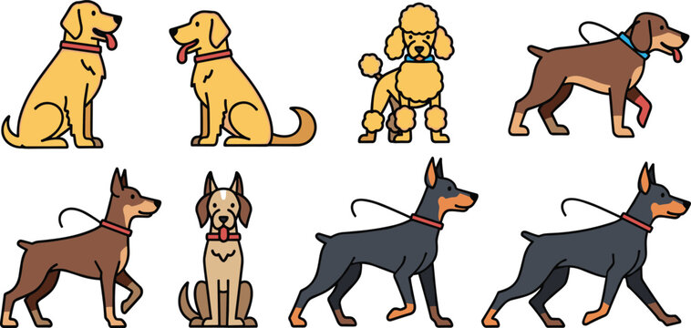 Vector Set of Cartoon Dogs, Various Breeds Including Labrador, Poodle, Doberman, and Hound with Leashes and Tails