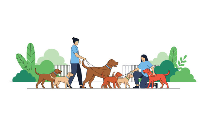 Dog Walking Service with Caretakers Walking Multiple Dogs in the Park for Pet Care, Animal Love, and Outdoor Activities