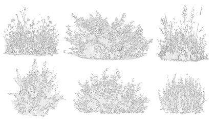 Vector set of shrubs, bushes and flowers in elevation view for use in architectural drawings