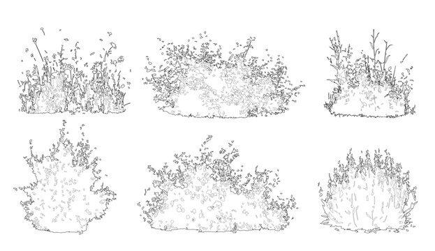 Set of shrubs, bushes and flowers in elevation view for use in architectural drawings - isolated on transparent background