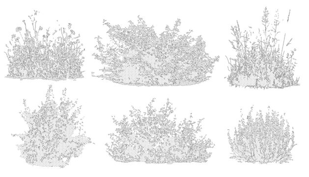 Vector set of shrubs, bushes and flowers in elevation view for use in architectural drawings