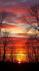 Naklejka premium Winter Trees Silhouetted Against Vibrant Sunset Sky
