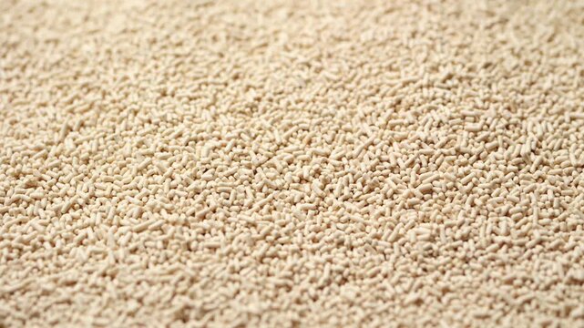 A high-angle macro shot of Active dry yeast