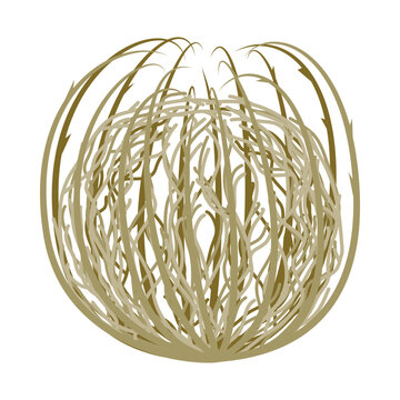 Cartoon version of a tumbleweed in a simple vector style displayed against a plain background