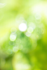 Obraz premium 縦構図 ぼやけた光と玉ボケ 緑色の背景 Vertical composition, blurred light and bokeh, green background.