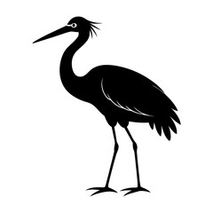 Fototapeta premium Stork