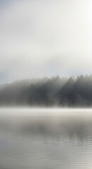 Fototapeta premium Dense Fog Rolling Over a Serene Forest Lake