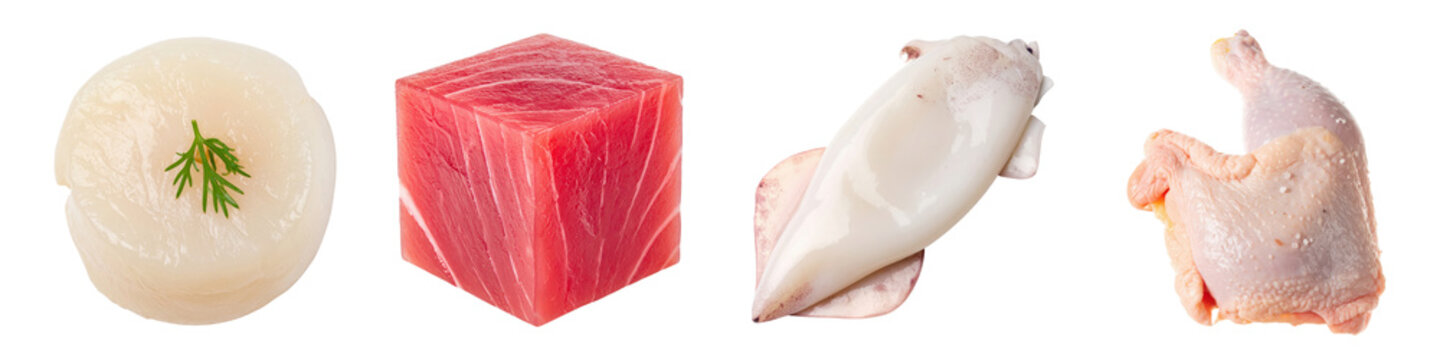 Raw scallop cube of tuna fresh squid and uncooked chicken leg piece side by side