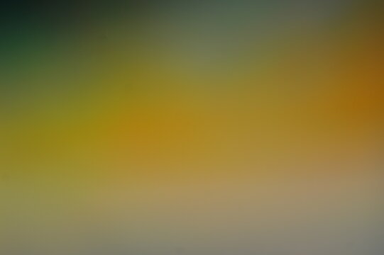 Olive and ochre gradient. Golden light center. Dreamy blurred photo. Muted beige base. Earthy yellow highlights. Soft focus effect. Tranquil mood