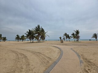 Fototapeta premium Scenic Royal Commission Beach Yanbu Saudi Arabia Coastal Landscape. In the evening, the sea and trees create a lovely view.