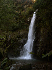 Obraz premium Waterfall flowing down a rocky cliff in a dense woodland