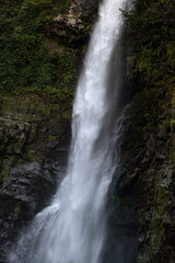 Obraz premium Waterfall cascading into a rocky pool within a dense forest