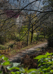 Fototapeta premium Winding dirt road through a rural area with bare trees and a farmhouse