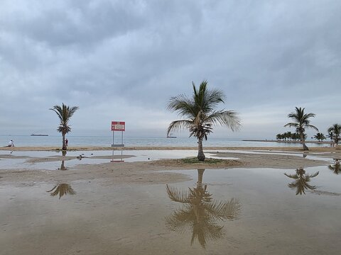 Scenic Royal Commission Beach Yanbu Saudi Arabia Coastal Landscape.  In the evening, the sea and trees create a lovely view.