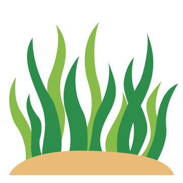 Tall green seagrass or seaweed on sandy bottom, underwater marine vegetation, ocean flora, vector illustration.