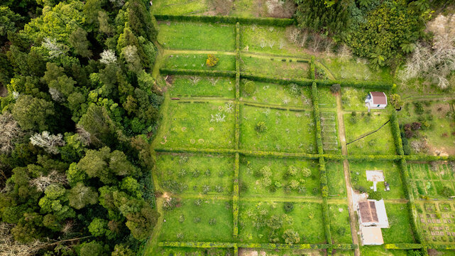 Aerial view of vibrant green, hedged fields contrasting sharply with dense, dark forest, dotted with white buildings, Ponta Delgada, Azores, Portugal.
