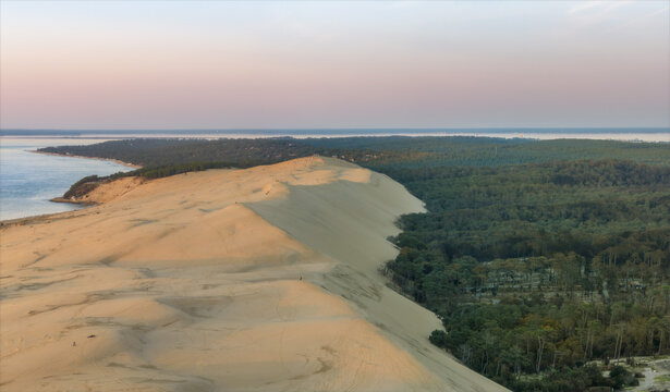 Aerial view of the majestic Dune du Pilat, where golden sands meet a vibrant green pine forest under a soft, twilight sky, La Teste de Buch, Nouvelle-Aquitaine, France.