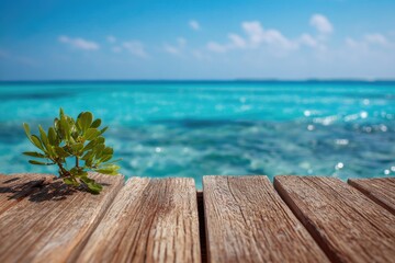 Fototapeta premium A small green plant grows from the cracks of a wooden deck overlooking a vibrant turquoise ocean.
