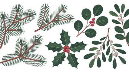 Set of green eucalyptus leaves and branches with small white flowers isolated Vector © MDSAJU