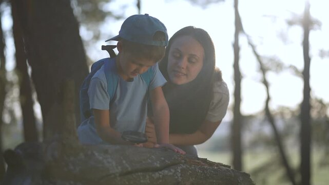 Boy explores tree bark using magnifying glass with mother watching outdoors. Child examines bark through magnifier. Mother helps boy study tree. Educational nature exploration with magnifying glass.