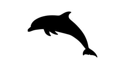 Fototapeta premium dolphin silhouette on white background high quality professional