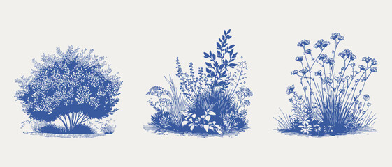 Plakat Botanical shrubs wild plants floral garden elements sketch. Illustrations for wallpaper and textile, hand drawn pencil style with fine lines and soft textured detailing.