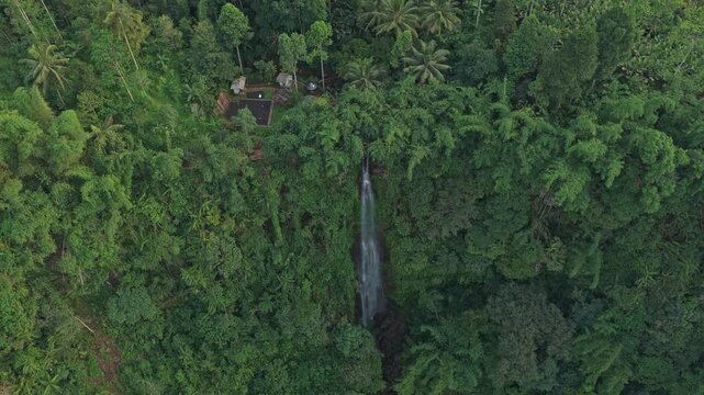 Kabut pelangi waterfall flowing in lush green jungle