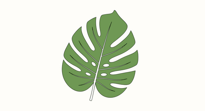 Large green tropical leaf closeup.