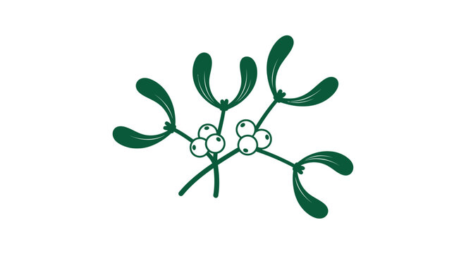 Mistletoe plant with white berries.
