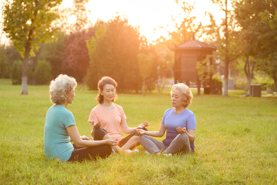 Senior female friends exercising in a park