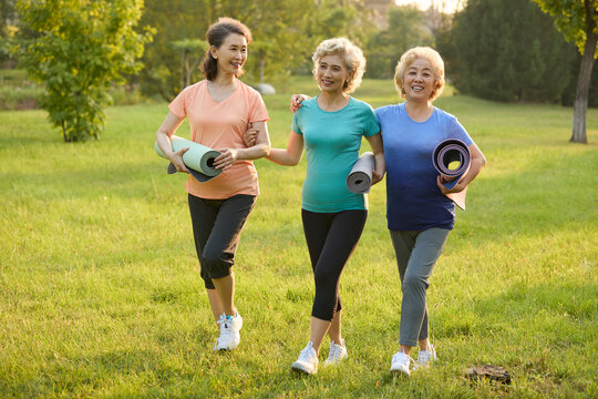 Senior female friends exercising in a park