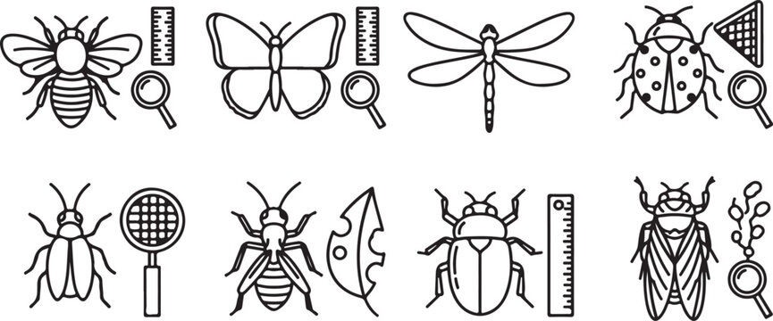 Collection of cute cartoon insects with flowers and nature elements vector Vector