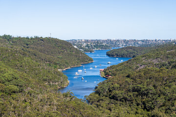 Obraz premium Scenic Bushland View Over Middle Harbour Toward Sydney Skyline from The Bluff Lookout