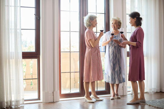 Senior female friends sipping wine and chatting